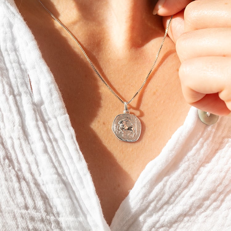 Stříbrný přívěsek se symboly znamení zvěrokruhu 145594