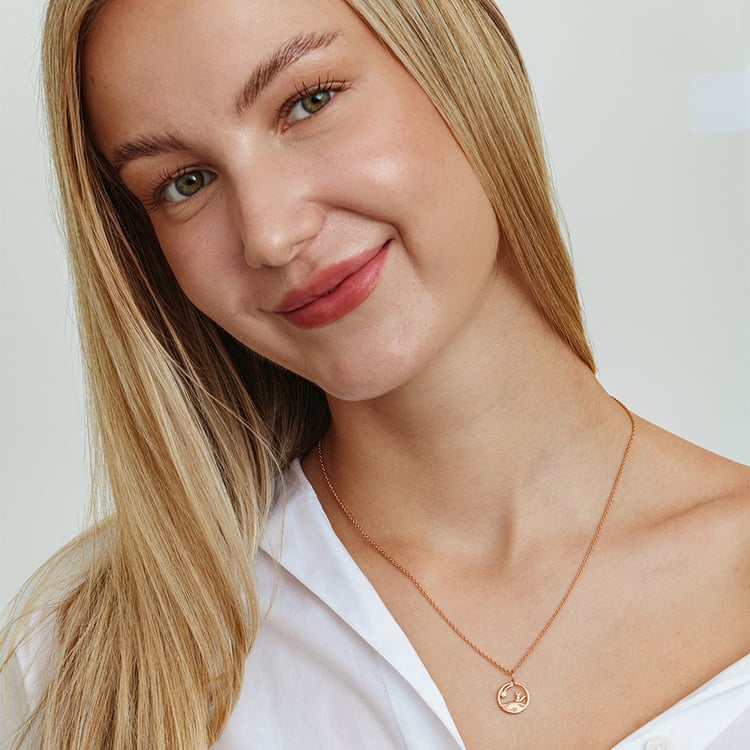 Stříbrný vykrojený přívěsek s liškou Malý princ 162625