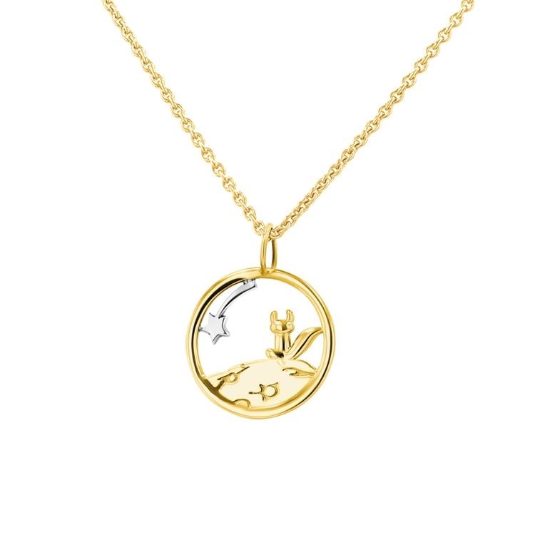 Vykrojený přívěsek s liškou Malý princ 140654