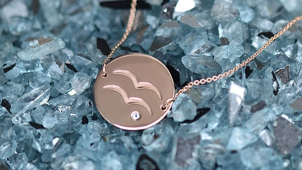 Vodnář (21. 1. – 19. 2.)