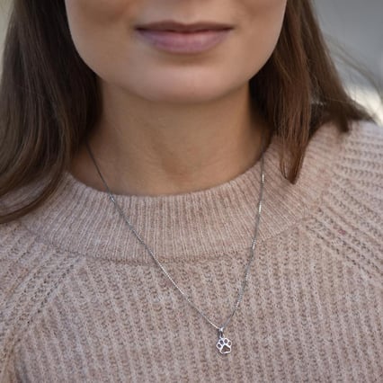 Stříbrný přívěsek s psí tlapkou Louiss