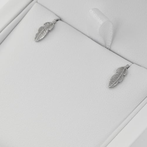 Stříbrné náušnice Feather