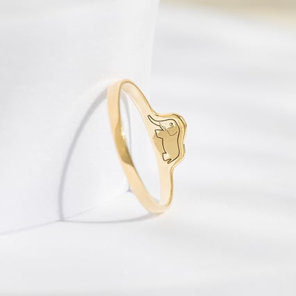 Prsten s ukrytým slonem Malý princ