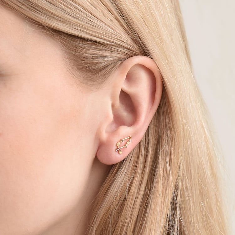 Zlatá náušnice se znamením zvěrokruhu Capricorn 95203