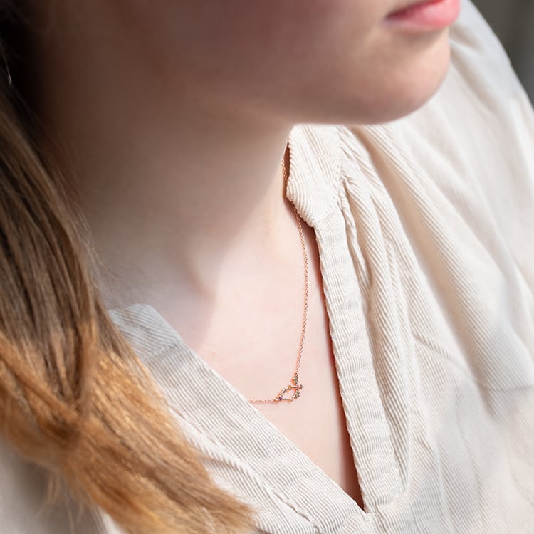 Náhrdelník se znamením zvěrokruhu Capricorn 140991