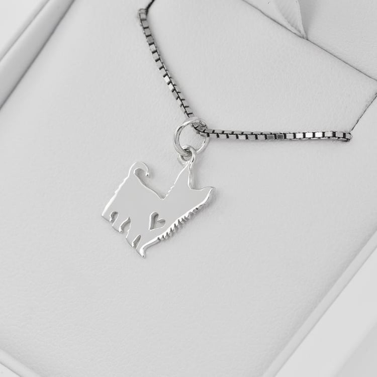 Náhrdelník ze stříbra 30345