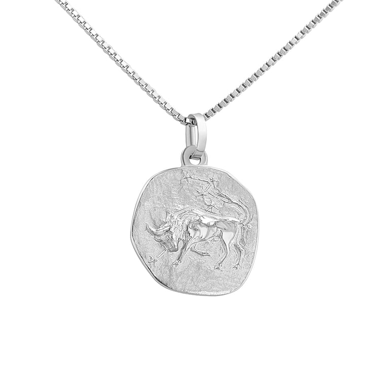 Stříbrný přívěsek se symboly znamení zvěrokruhu 136452