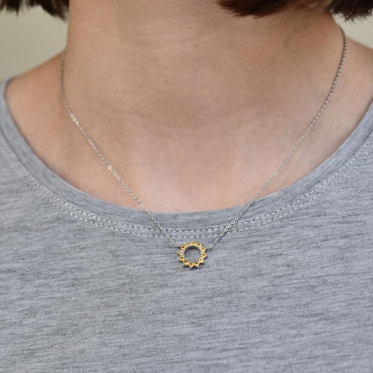 Stříbrné sluneční paprsky 26610