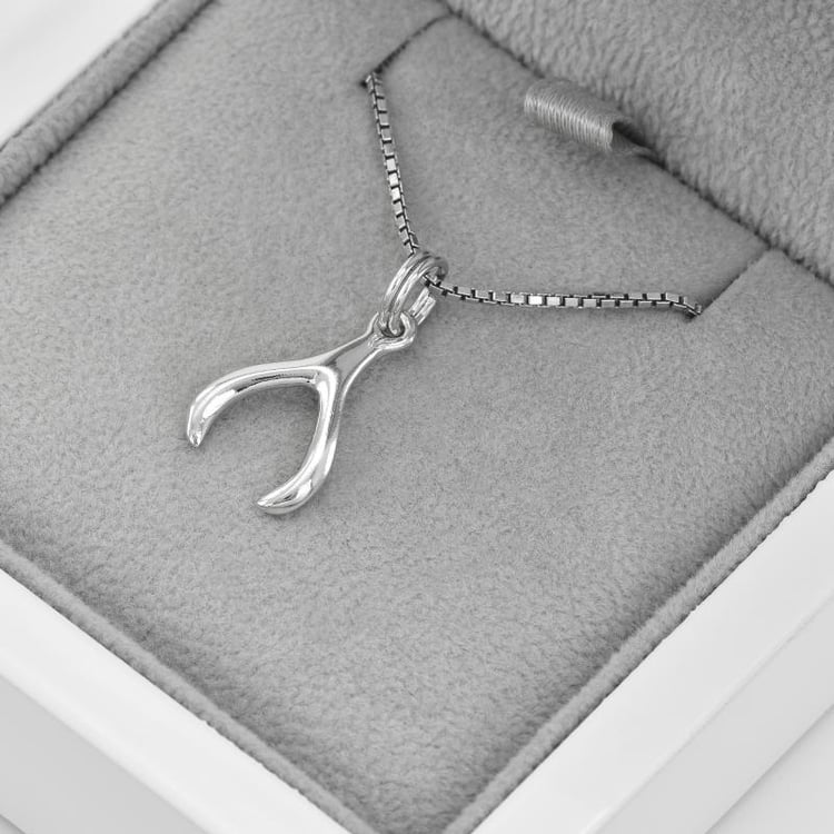 Přívěsek ve stříbrném náhrdelníku Wishbone 44883