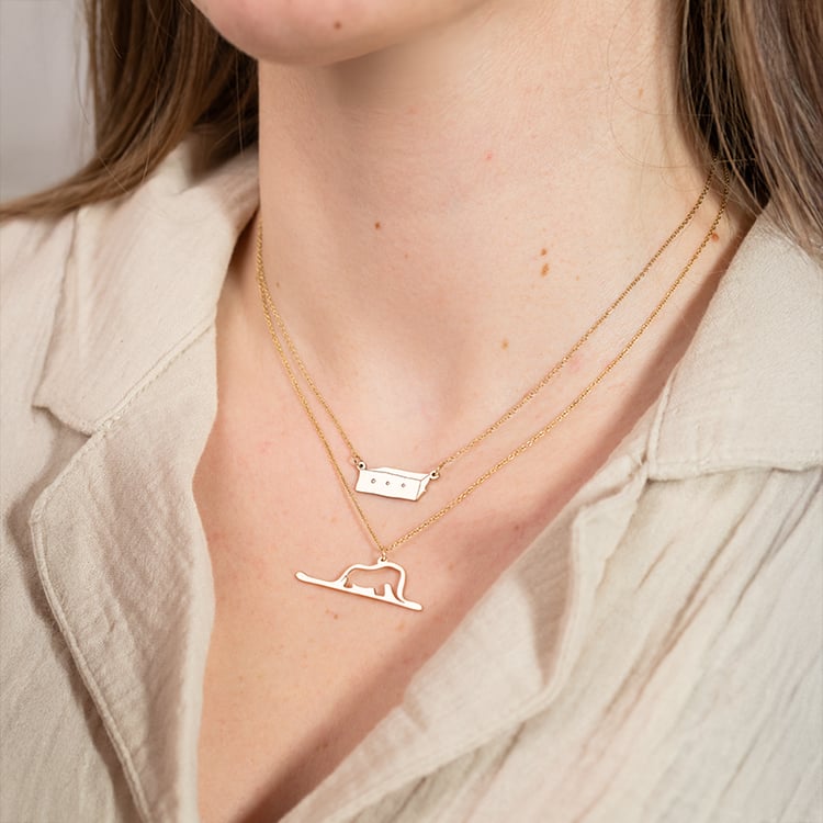 Stříbrný náhrdelník s krabicí Malý princ 150642