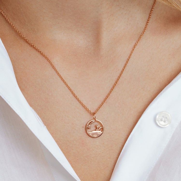 Stříbrný vykrojený přívěsek s liškou Malý princ 162622