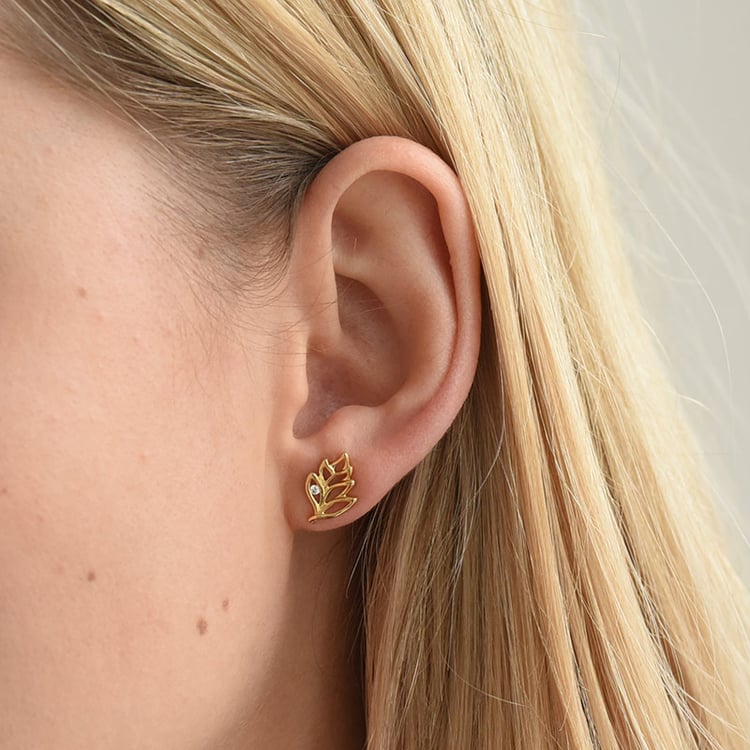 Stříbrné pozlacené náušnice 72702