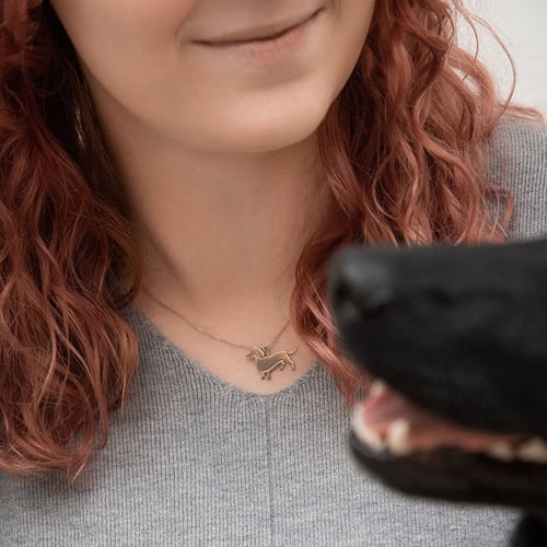 Stříbrný přívěsek ve tvaru psa s gravírem Dachshund