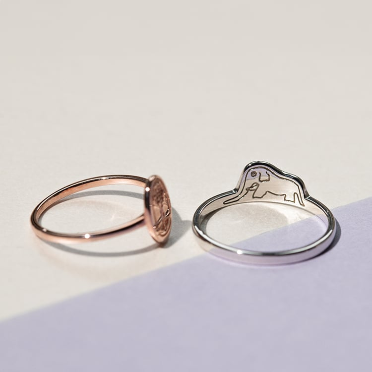 Stříbrný prsten s ukrytým slonem Malý princ 141557