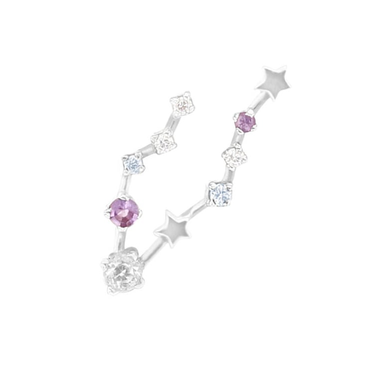 Náušnice se znamením zvěrokruhu Pisces 156606