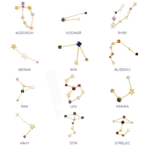 Náušnice se znamením zvěrokruhu Aquarius