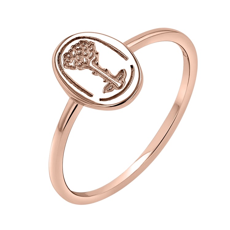 Stříbrný oválný prsten s gravírem růže Malý princ 141796