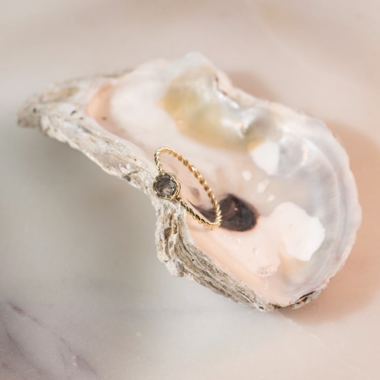 Proplétaný prsten se salt and pepper diamantem Chanice 103536