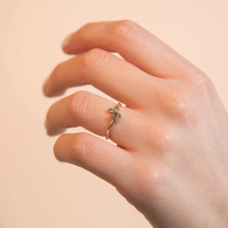 Stříbrný cluster prsten se salt and pepper diamanty Roche 116114