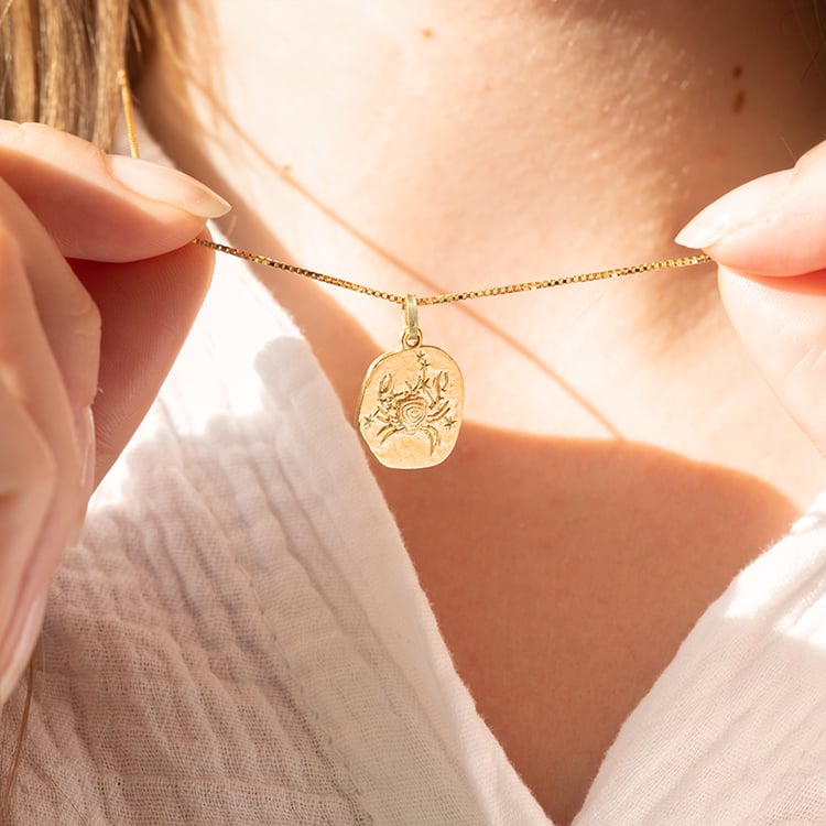 Stříbrný přívěsek se symboly znamení zvěrokruhu 145583