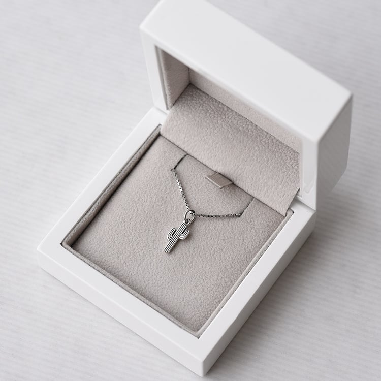 Stříbrný náhrdelník 70780