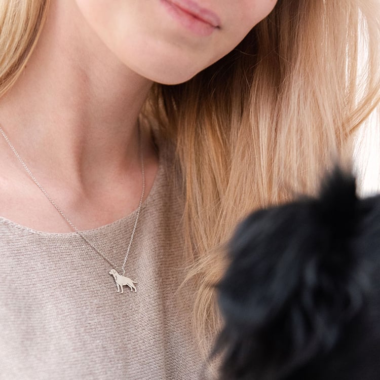 Přívěsek ve tvaru psa s gravírem Labrador Retriever 98166