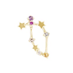 Náušnice se znamením zvěrokruhu Capricorn