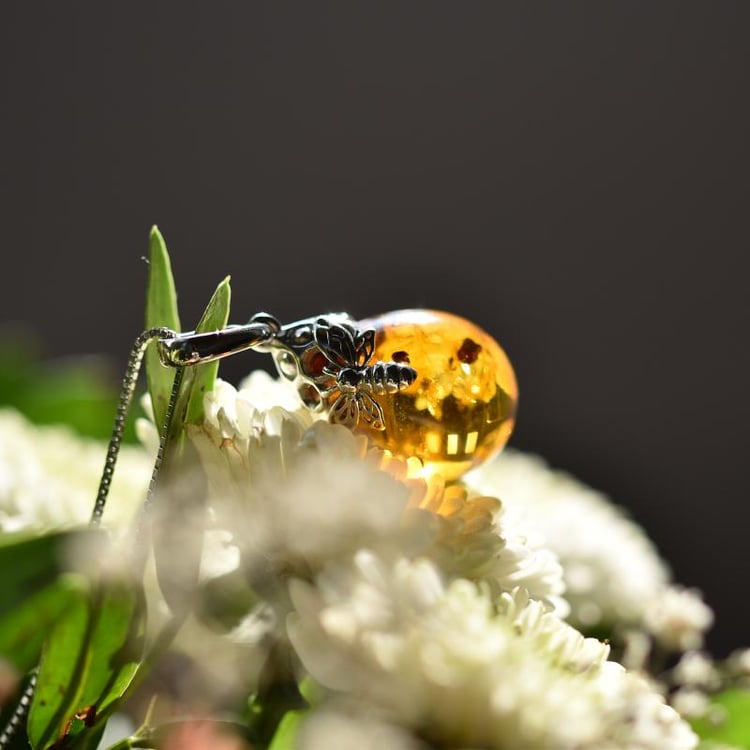 Jantarový náhrdleník 34186