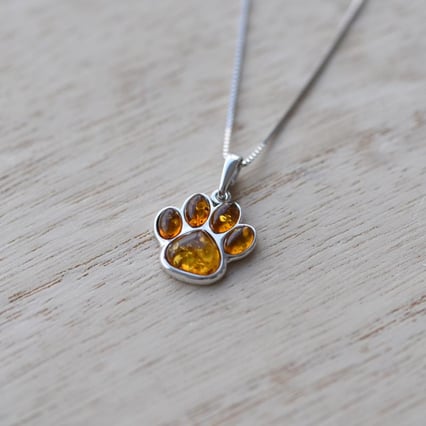 Jantarová tlapka ve stříbrném přívěsku Finlay