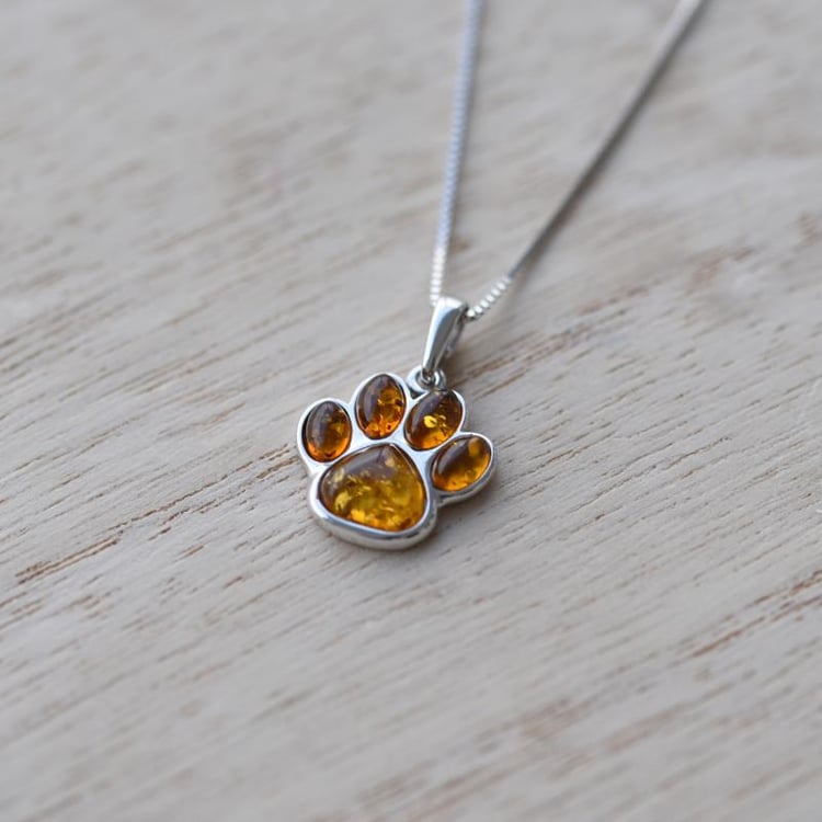 Jantarová tlapka 52070