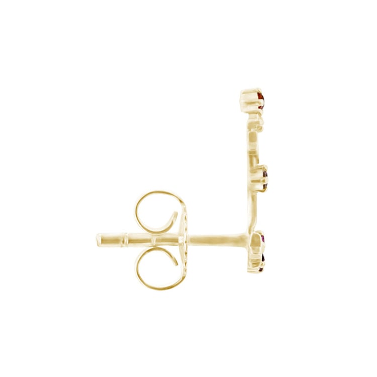 Náušnice se znamením zvěrokruhu Capricorn 95414