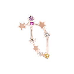 Náušnice se znamením zvěrokruhu Capricorn