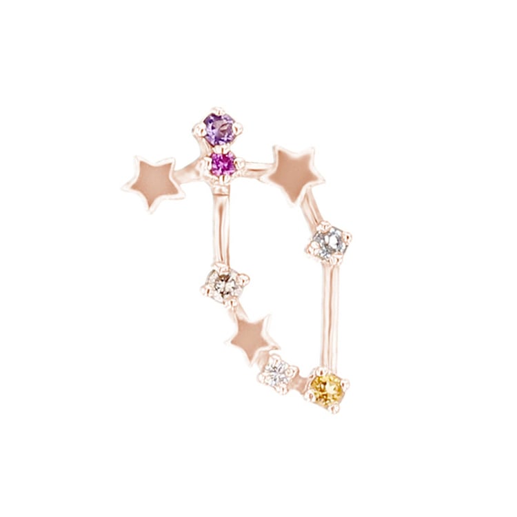 Náušnice se znamením zvěrokruhu Capricorn 95706