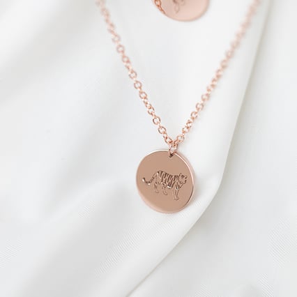 Stříbrný personalizovaný náhrdelník Čínské znamení zvěrokruhu