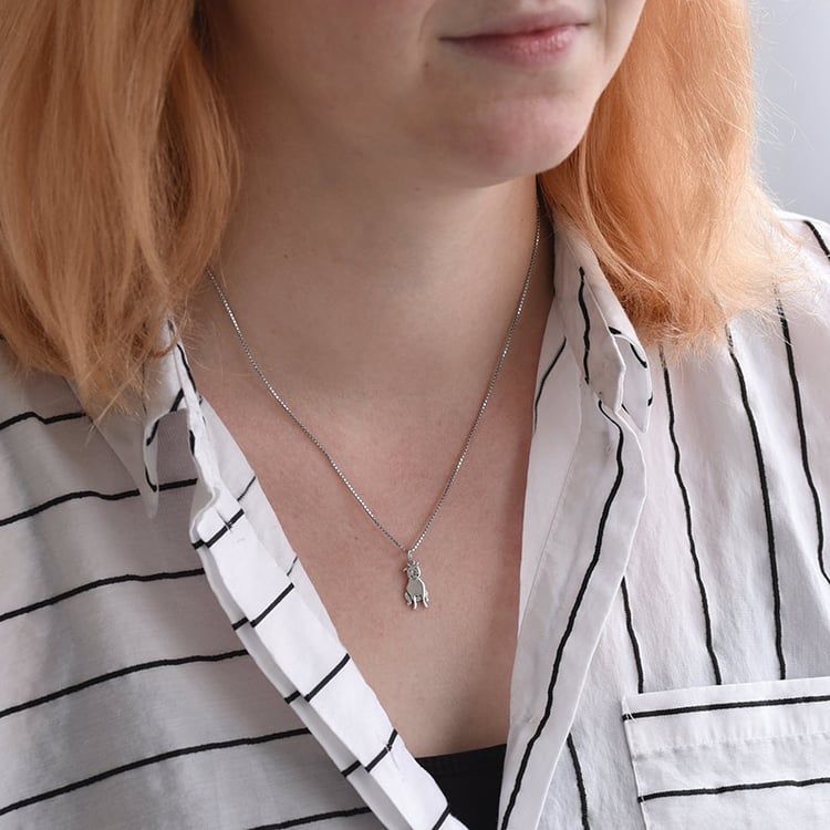 Stříbrný přívěsek ve tvaru psa Pit Bull 70799