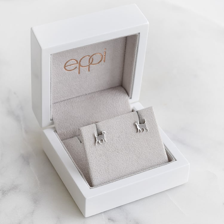 Stříbrné koťata 88749