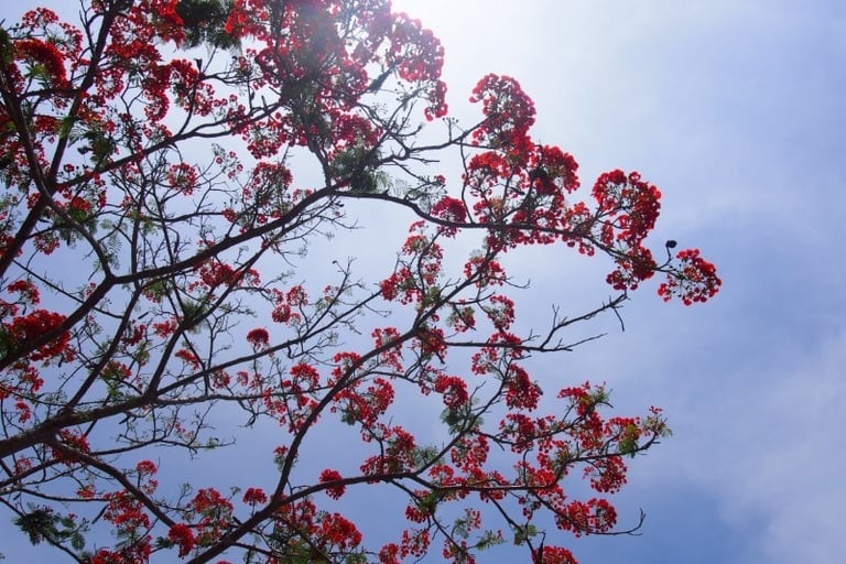 5 svěžích tipů, jak se naladit na jaro