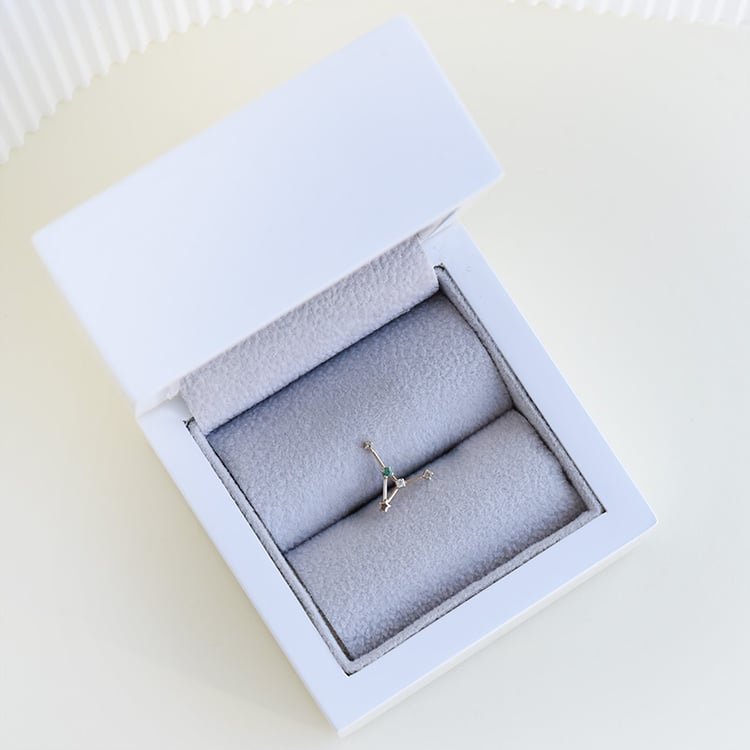 Zlatá náušnice se znamením zvěrokruhu 95351