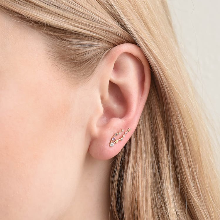 Náušnice se znamením zvěrokruhu Pisces 113214