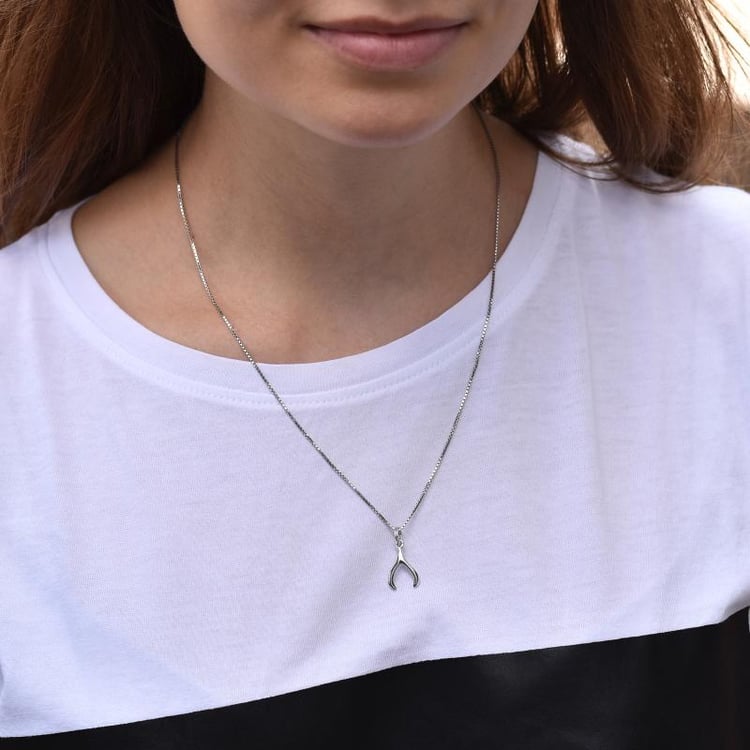 Symbolický přívěsek ve stříbrném náhrdelníku Wishbone 44882