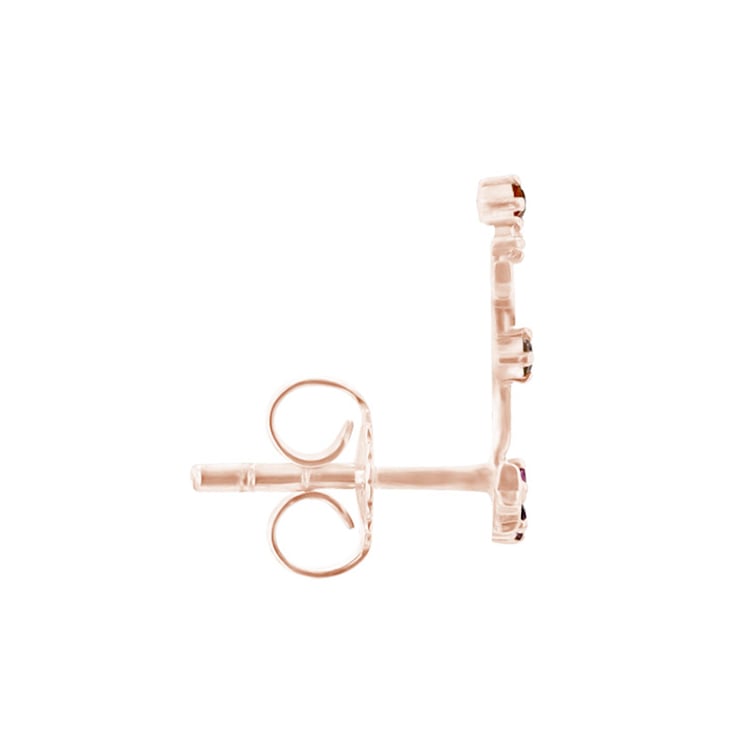 Náušnice se znamením zvěrokruhu Capricorn 95416