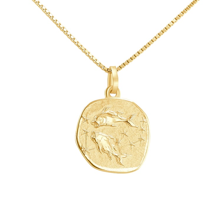 Stříbrný přívěsek se symboly znamení zvěrokruhu 136473