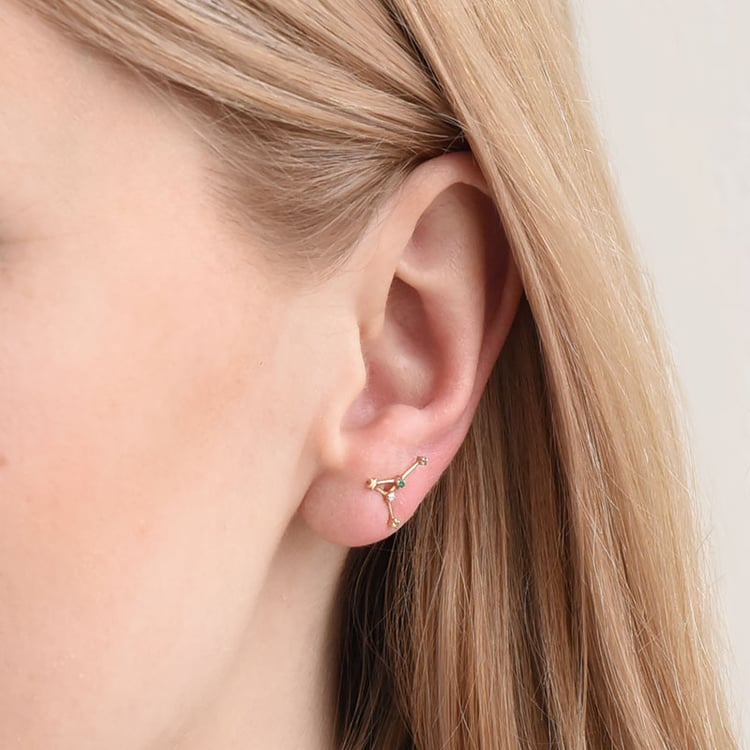 Zlatá náušnice se znamením zvěrokruhu Cancer 95279