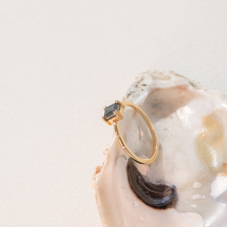 Zlatý prsten se salt and pepper diamantem Emilis 100980