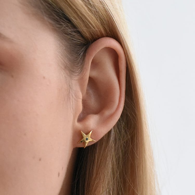 Stříbrné hvězdičky 73056