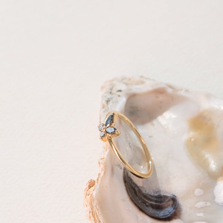 Salt and pepper prsten ve tvaru motýla Romy 100966