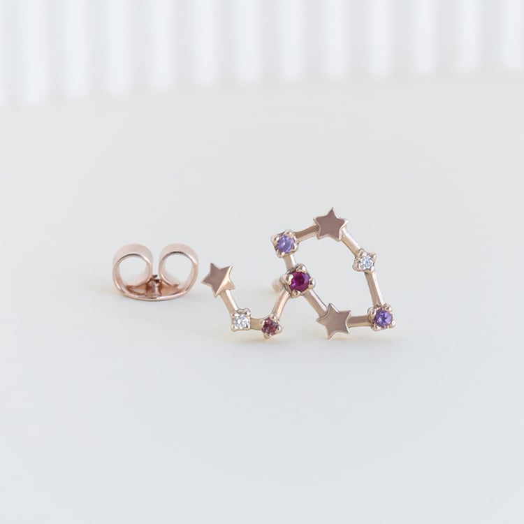 Náušnice se znamením 95320