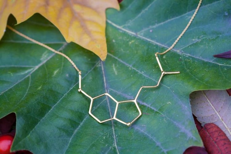 Pozlacený náhrdelník ze stříbra 7356