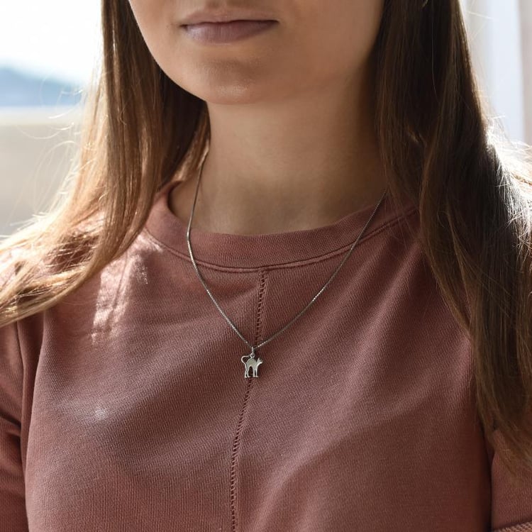 Stříbrný přívěsek ve tvaru kočky 31942