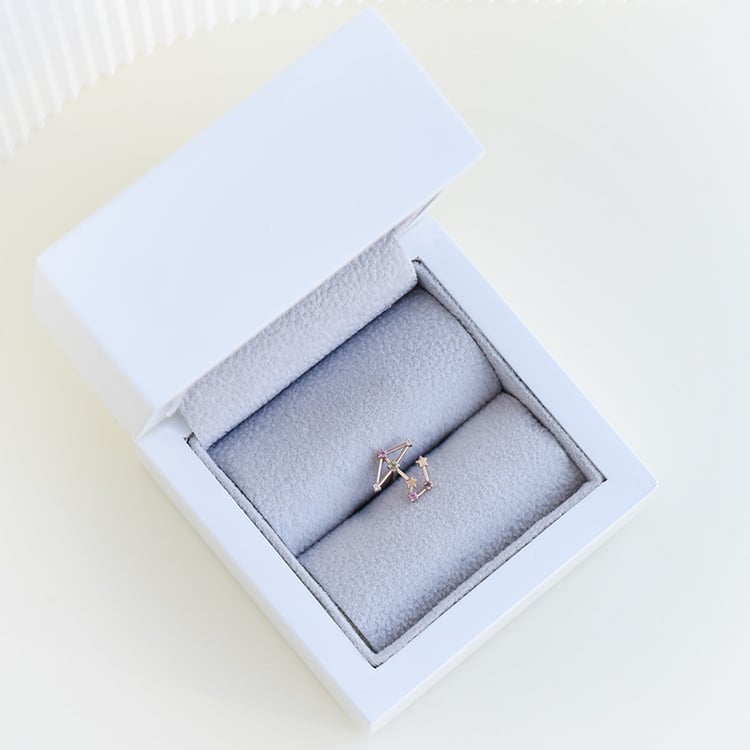 Náušnice se znamením zvěrokruhu Sagittarius 95315